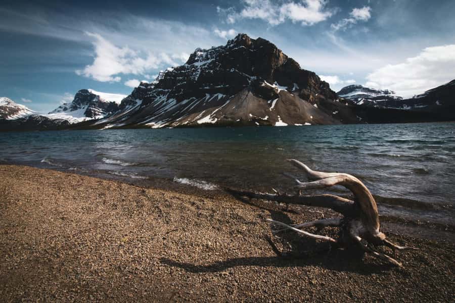 Banff: Lake Louise, Marble Canyon, Bow Lake, Peyto Lake Tour - Who Should Book, and Who Might Prefer a Different Style