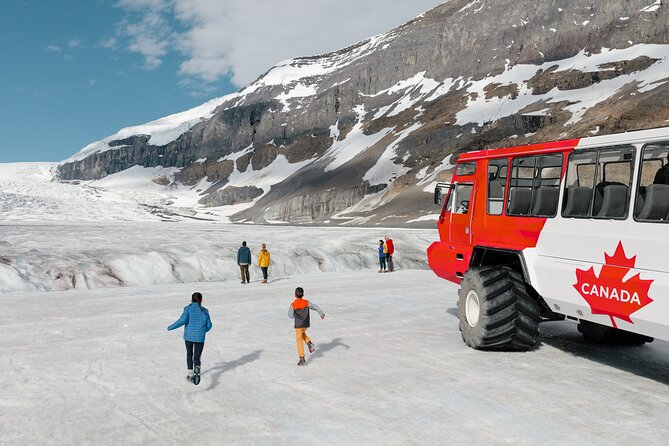 Banff: Lake Louise, Marble Canyon, Bow Lake, Peyto Lake Tour - Emerald Lake, Natural Bridge, Bow Lake, and Peyto Lake: The Color Circuit