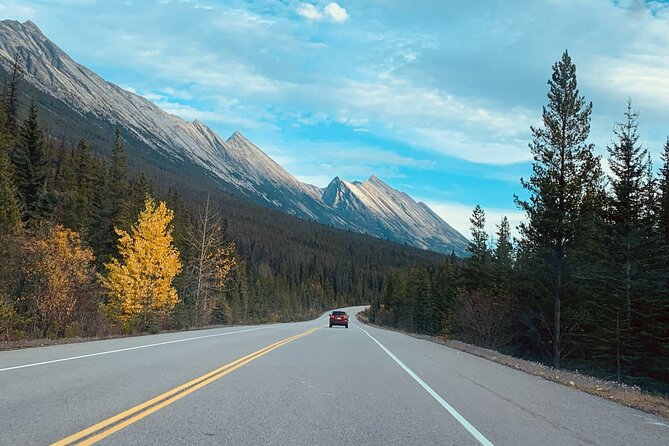 Banff: Lake Louise, Marble Canyon, Bow Lake, Peyto Lake Tour - Price and Value at $62: What You’re Really Paying For