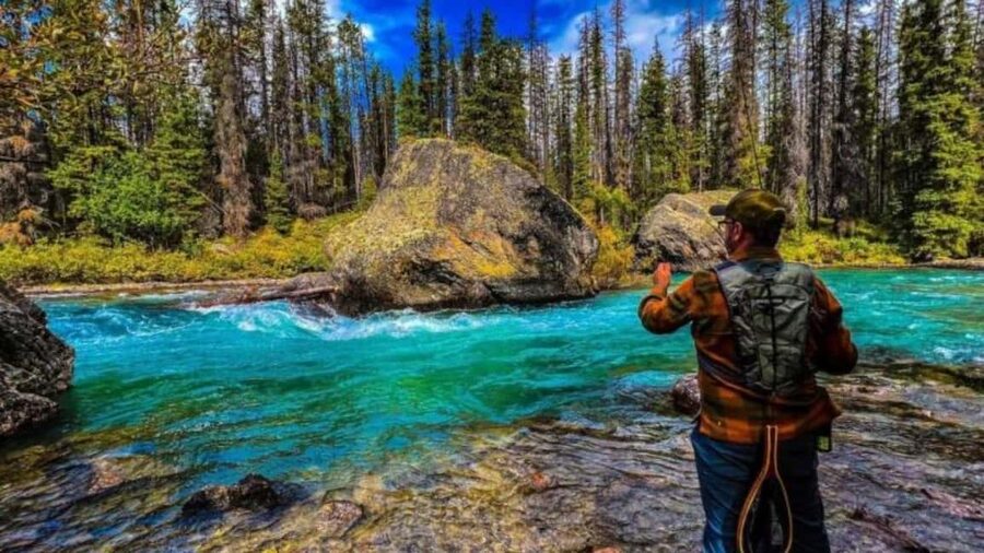 Banff: Lake Louise, Moraine, Emerald & Johnston Canyon Tour - Emerald Lake and the Natural Bridge: variety in one day