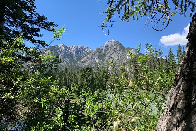 Banff LOST TOWNS and Untold Stories! 2hr Walk + Transportation - Key Highlights You Will Feel Right Away