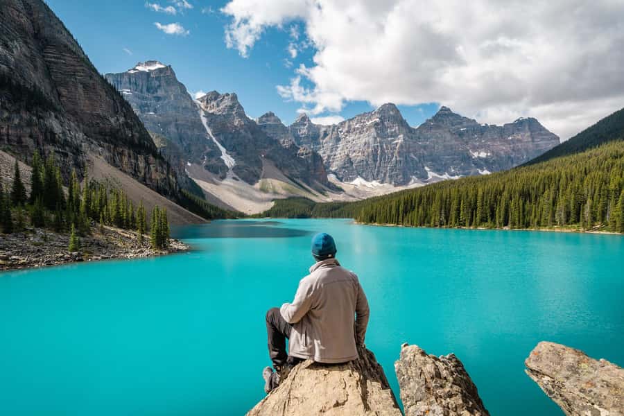 Banff: Louise & Moraine Lake or Johnston Canyon 1/2 Day Tour - Key highlights to know before you go