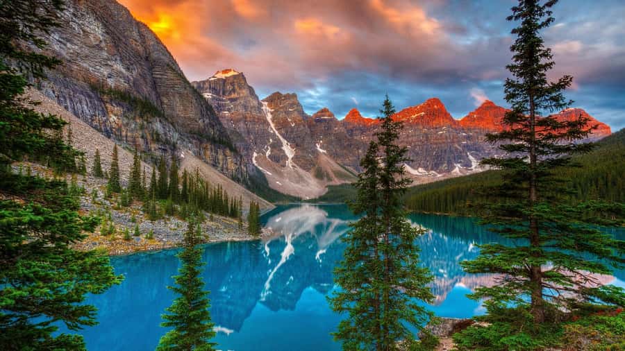 Banff: Louise & Moraine Lake or Johnston Canyon 1/2 Day Tour - The drive between stops: Vermilion Lakes, Castle Mountain, and quick “look up” moments