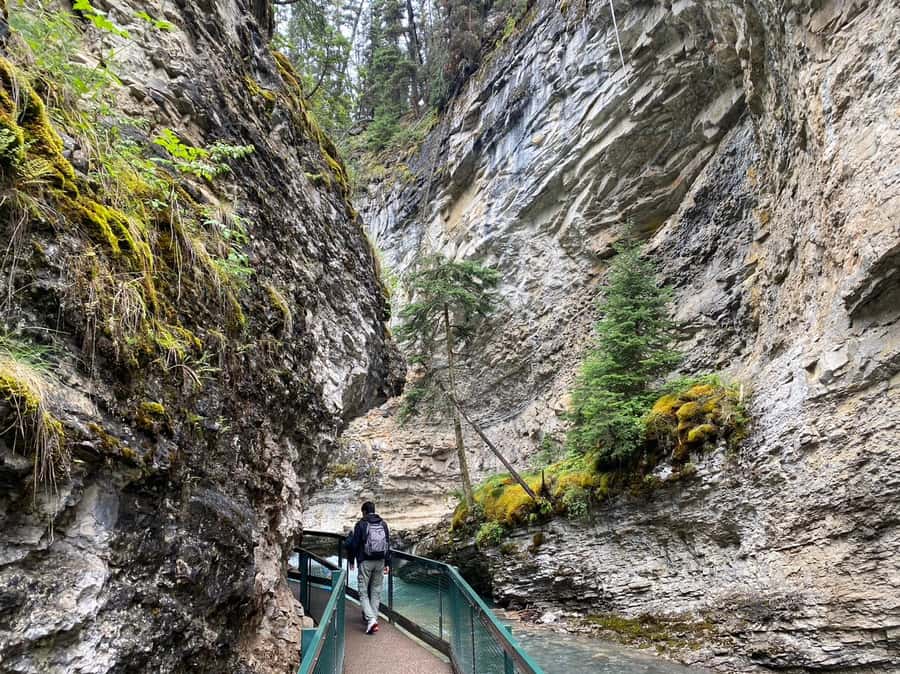 Banff: Louise & Moraine Lake or Johnston Canyon 1/2 Day Tour - Johnston Canyon walk: 1.5 hours of waterfalls and icy footing realities