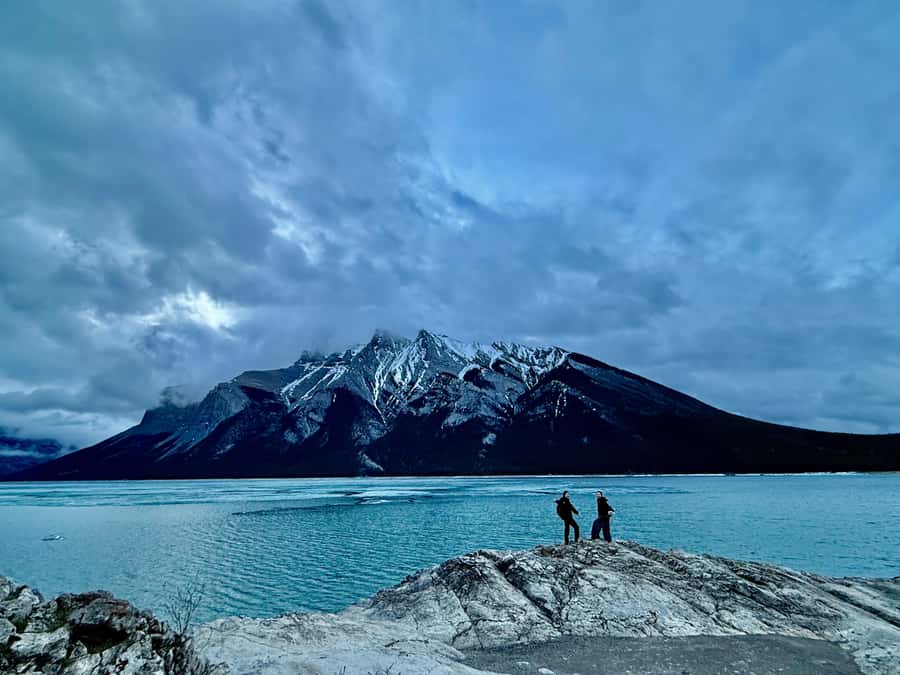 Banff: Moraine, Peyto, Bow, Lake Louise & Johnston Canyon - Peyto and Bow Lake Viewpoints: Road Trip Scenery Worth Leaning In For