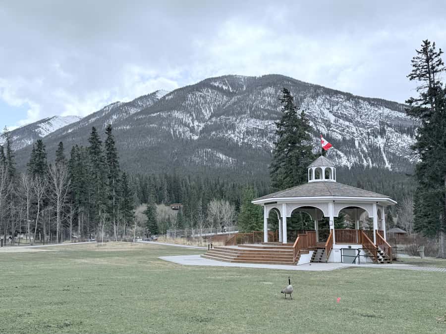Banff: Moraine, Peyto, Bow, Lake Louise & Johnston Canyon - Who Should Book This Tour (and Who Might Want More Time)