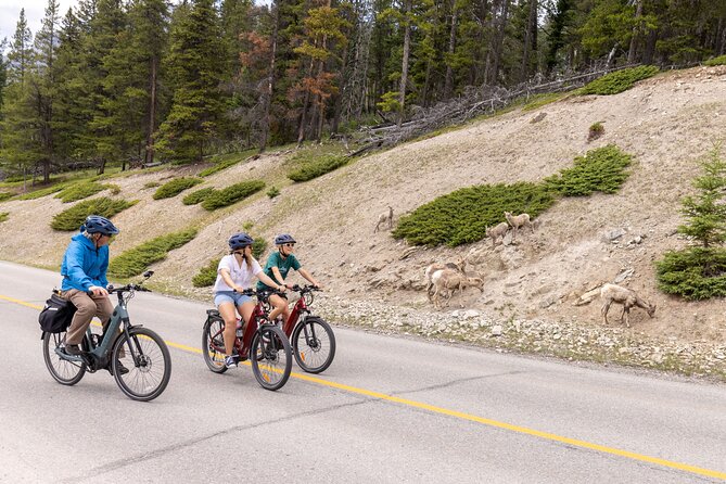 Banff Mountain Lakeside - E-bike Tour - Key highlights you will actually care about