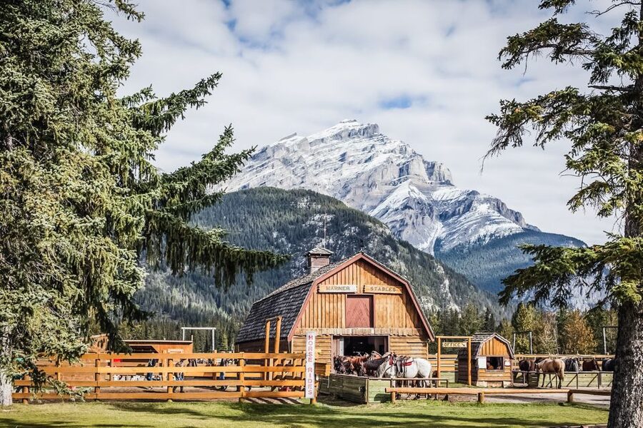 Banff National Park: 1-Hour Bow River Horseback Ride - Passing Cave and Basin Hot Springs, and why it is a smart stop