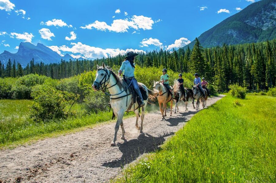 Banff National Park: 1-Hour Bow River Horseback Ride - Wildlife chances near marshes and meadows