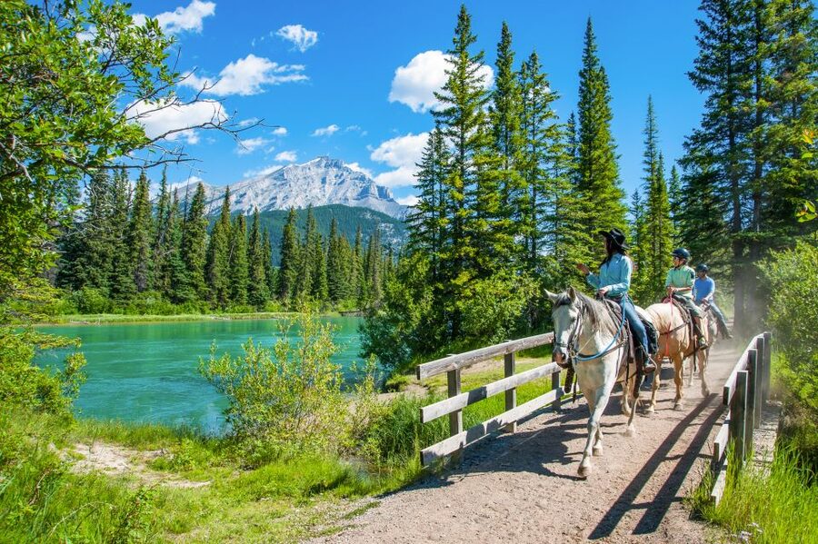 Banff National Park: 1-Hour Bow River Horseback Ride - Horses, tack, and what beginner instruction actually covers