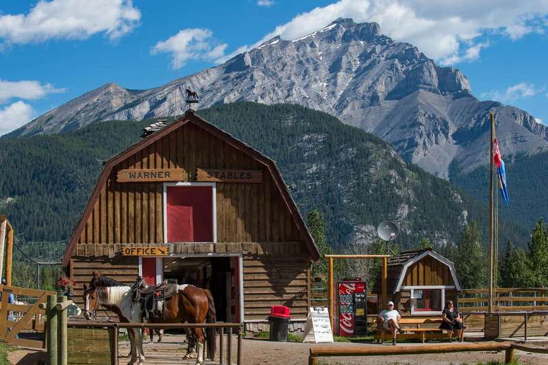 Banff National Park: 2-Hour Sundance Loop Horseback Ride - Wildlife, plant life, and guide stories you can use while you ride