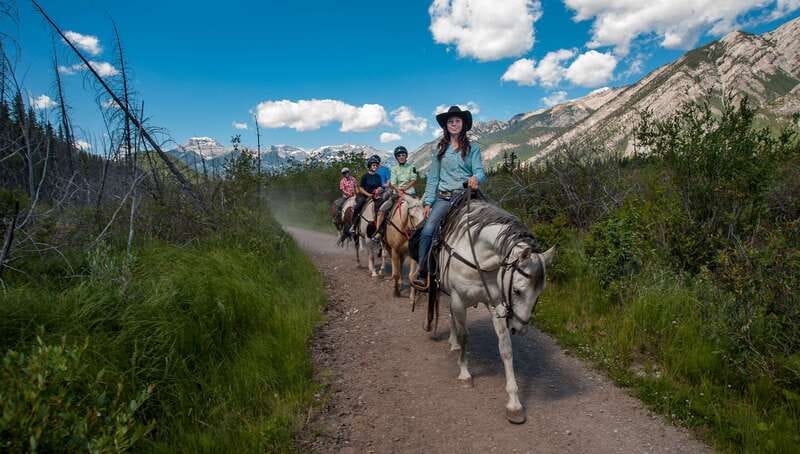 Banff National Park: 2-Hour Sundance Loop Horseback Ride - Getting to the Bow River: calm water, steady motion, and easy spotting