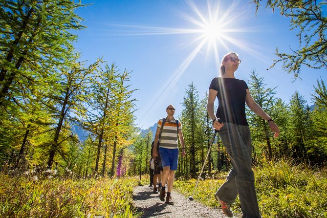 Banff National Park Guided Hike with Lunch - Trail Options You Can Choose by Day: Stanley Glacier, Larch Valley, Consolation Lakes, Plain of Six Glaciers