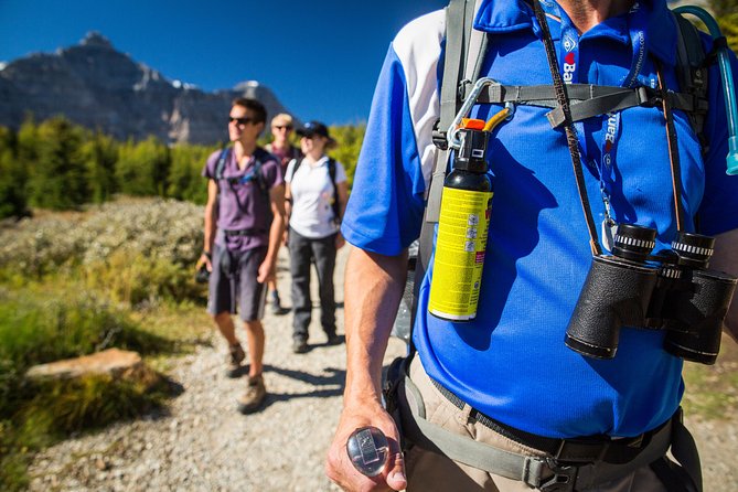 Banff National Park Guided Hike with Lunch - Lunch Break: Packed Picnic Food That Actually Refuels