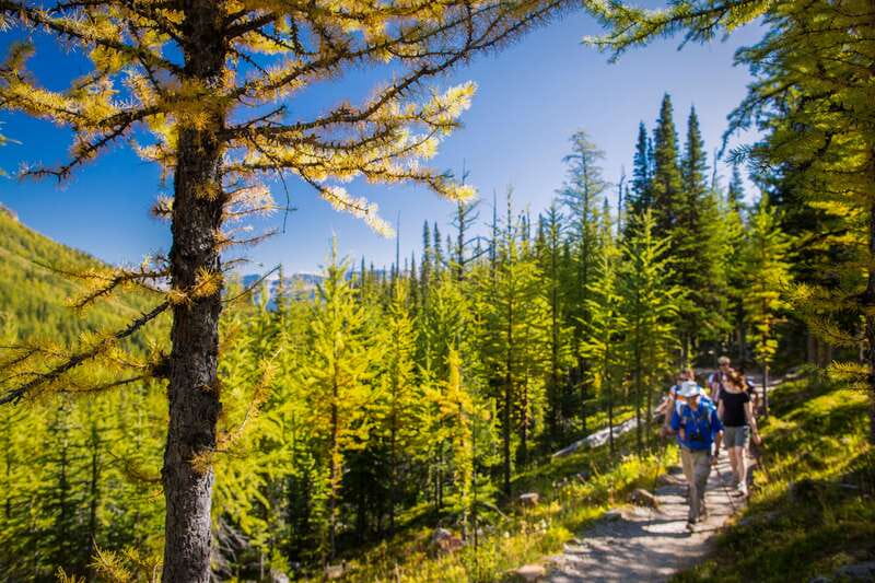 Banff National Park: Guided Signature Hikes with Lunch - Stanley Glacier days: switchbacks, burned regrowth, and Mt. Stanley views