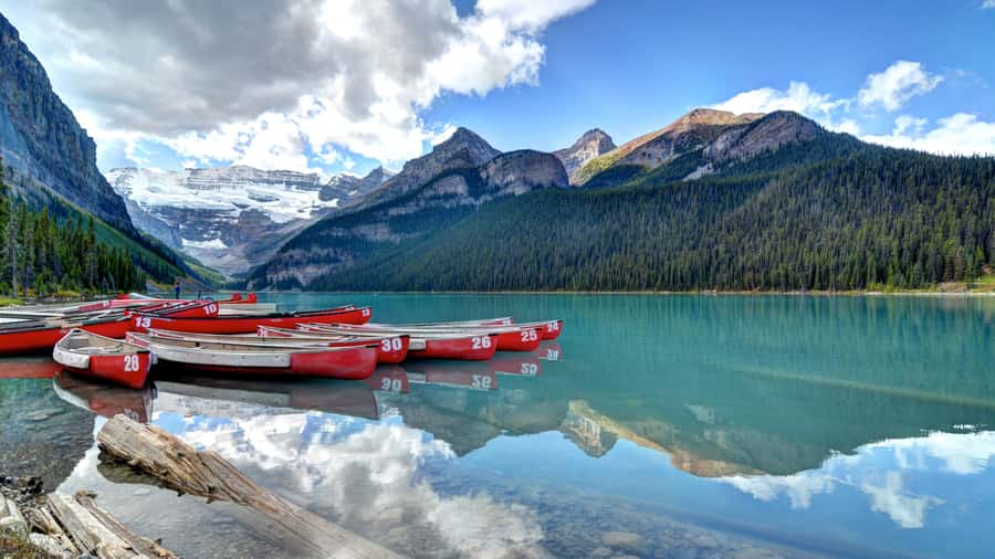 Banff National Park: Hop-On-Hop-Off Bus Day-Pass - Lake Louise time: teahouse energy, plus Plain of Six Glaciers