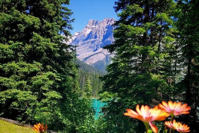 Banff National Park Moraine Lake and Lake Louise Explorer Tour - Who should book this and who might prefer something else