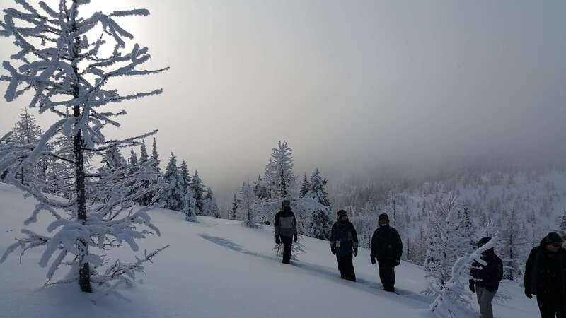 Banff National Park: Sunshine Meadows Snowshoeing Experience - From Mount Royal Hotel to Sunshine Village, the Day Moves Fast