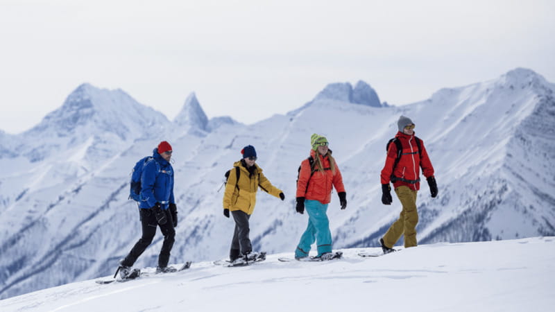 Banff National Park: Sunshine Meadows Snowshoeing Experience - My Booking Advice: When to Choose This, and When Not To