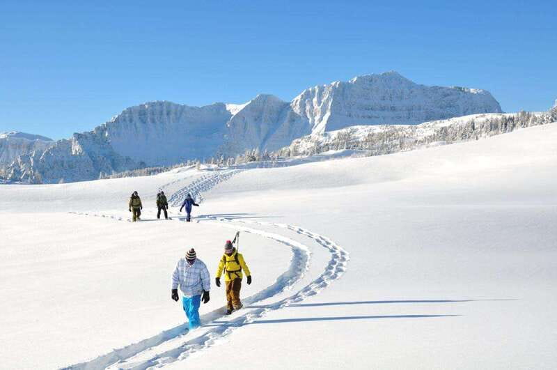 Banff National Park: Sunshine Meadows Snowshoeing Experience - FAQ