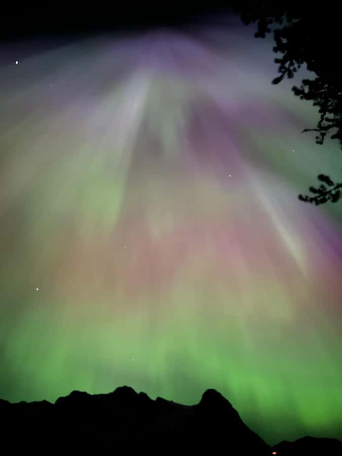 Banff Night Sky: Stargazing and Northern Lights Chasing Tour - The 3 Hour Flow: Drive, Short Walk, Then the Sky Show