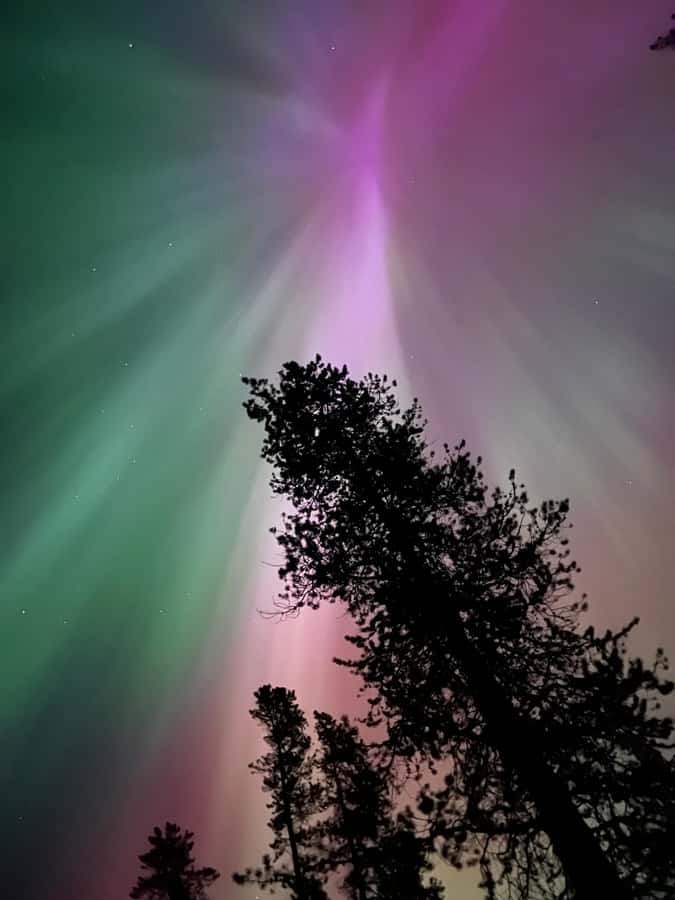 Banff Night Sky: Stargazing and Northern Lights Chasing Tour - How the Guide Finds Your Best Shot at the Aurora