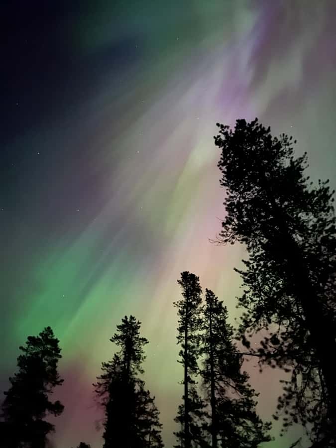 Banff Night Sky: Stargazing and Northern Lights Chasing Tour - Stargazing With Myths, Legends, and a Night-Sky Lesson That Sticks