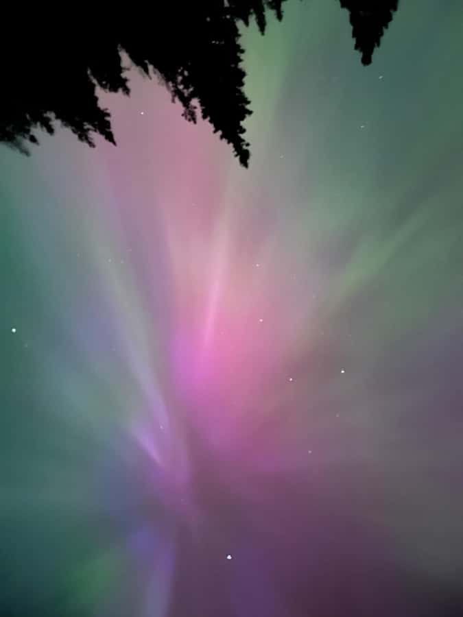 Banff Night Sky: Stargazing and Northern Lights Chasing Tour - Northern Lights or Not: What You Can Still Expect to See