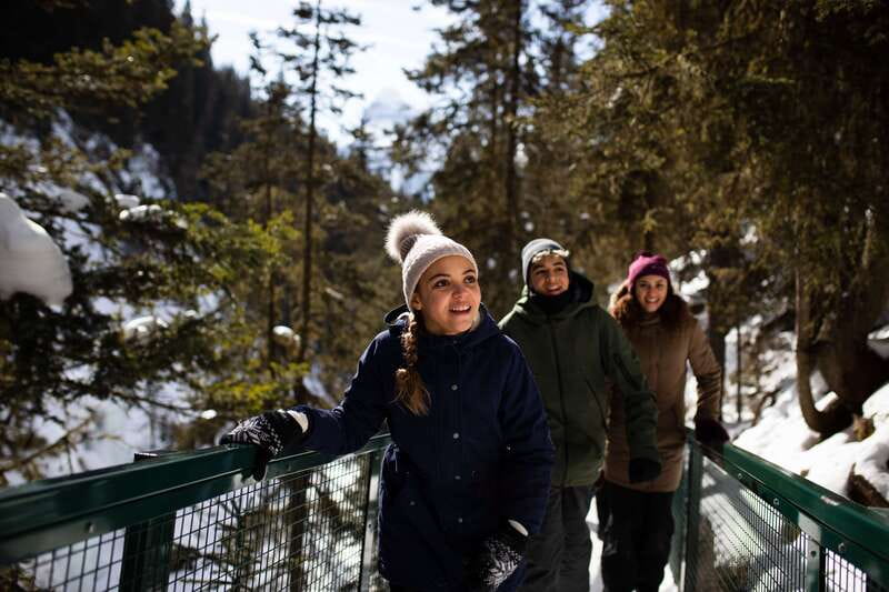 Banff: Premium Johnston Canyon Frozen Falls Guided Adventure - Getting there by van and timing the Bow Valley Parkway stops