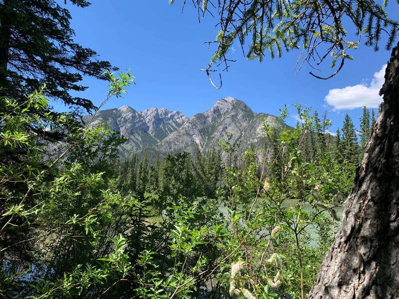 Banff PRIVATE Guided Nature Walk + Transportation - 2.5H - What to bring, what not to bring, and what to wear