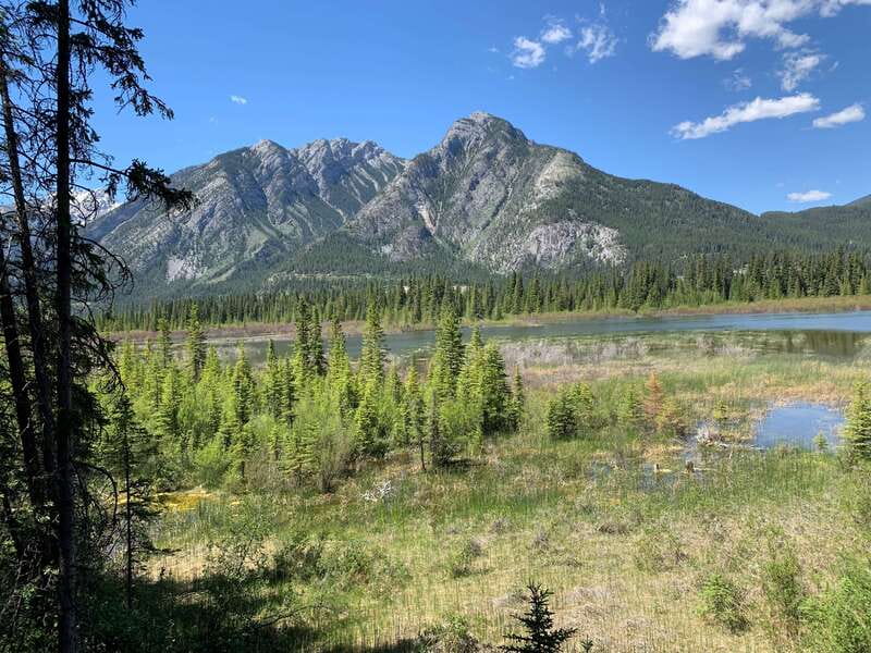 Banff PRIVATE Guided Nature Walk + Transportation - 2.5H - Starting at Cave and Basin, then heading into Banff