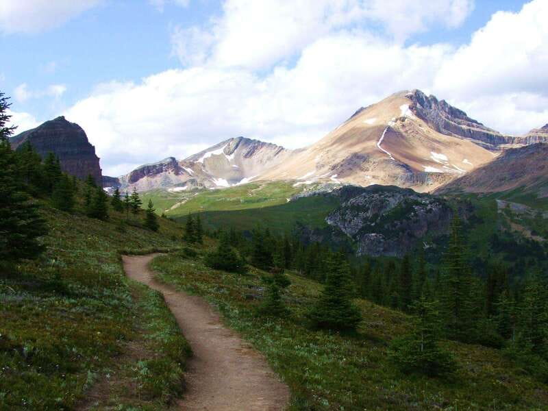 Banff PRIVATE Guided Nature Walk + Transportation - 2.5H - Wildlife signs, mountain and bear survival lessons in plain language
