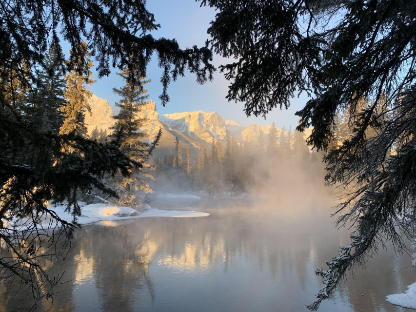 Banff PRIVATE Guided Nature Walk + Transportation - 2.5H - What the walk feels like, based on what you can actually control