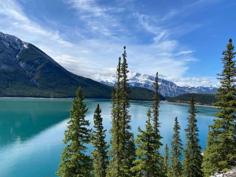 Banff PRIVATE Guided Nature Walk + Transportation - 2.5H - Transportation and timing: a tight plan that protects your trail time