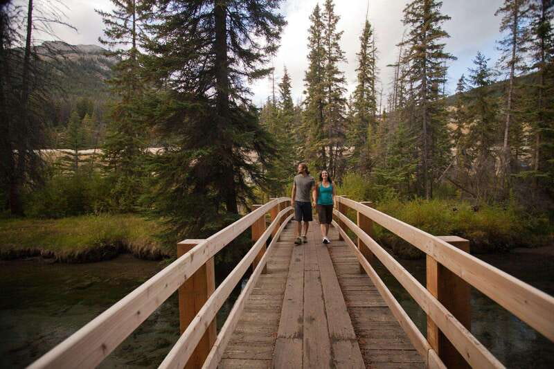 Banff: Thermal Waters and Hidden Waterfalls - 3hr Walk - Wildlife viewing, why having a guide changes what you notice