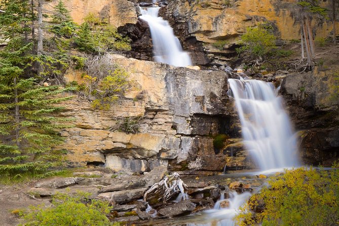 Banff to Jasper One-Way Tour - Pickup, bus comfort, and what a small group size changes