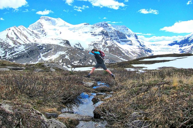 Banff to Jasper One-Way Tour - Columbia Icefield: your main event, with real choices