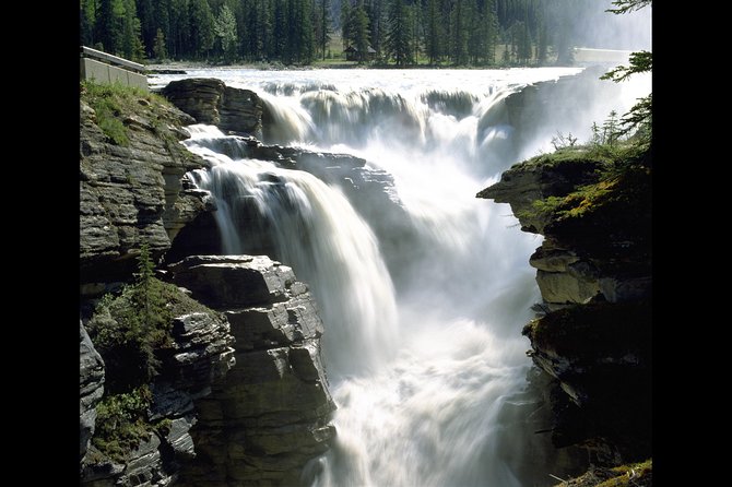 Banff to Jasper One-Way Tour - Lunch and pacing: how to survive a long day and still enjoy it