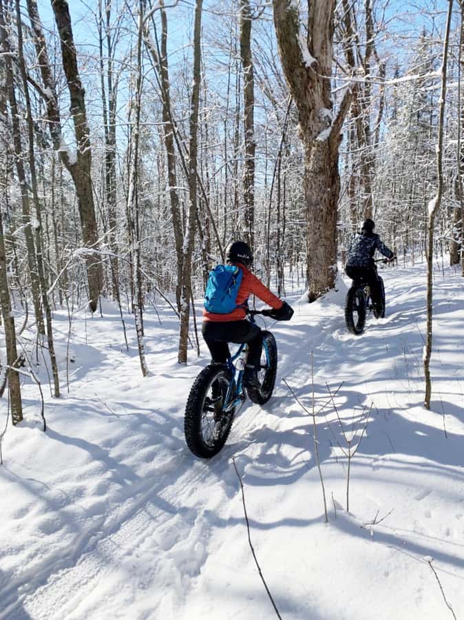 Banff Top Sights via Electric Fat Bike Tour All Skill Levels - What Makes the Stops Special, Mountain to River
