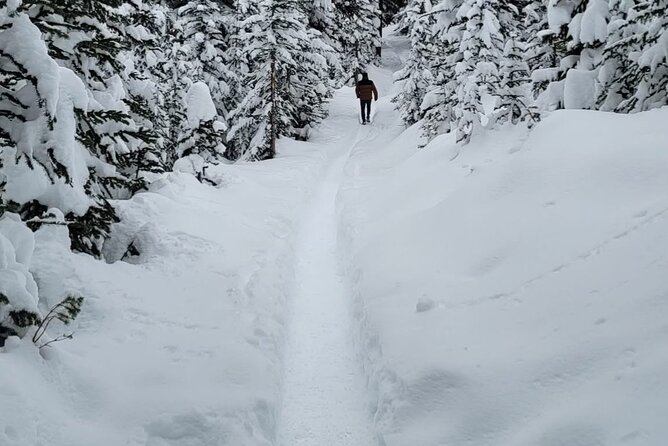 Banff Town, Lake Louise, Moraine, Emerald & Canyon Day Trip - Moraine Lake and the Rockpile Trail: Best Panoramic Payoff