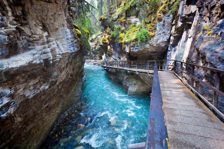Banff town,Lake Louise, Moraine, Emerald & Johnston Canyon - Key highlights you will feel fast