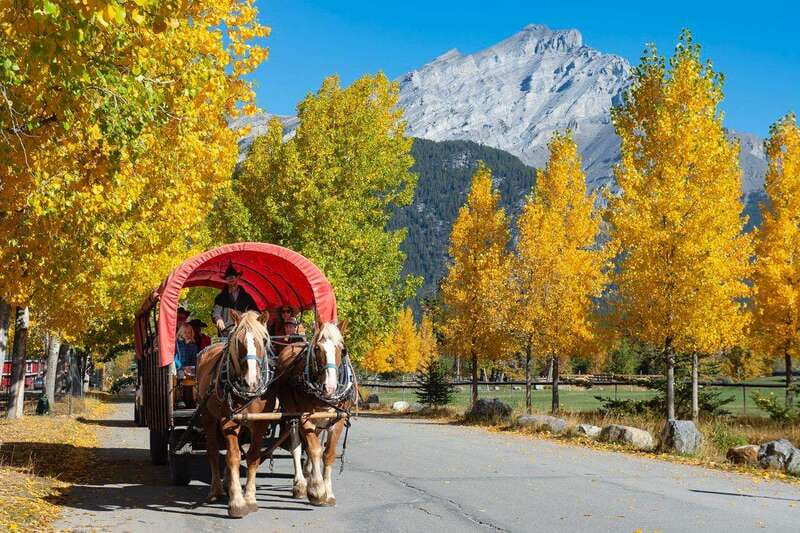 Banff: Wagon Ride with Cowboy Cookout BBQ - Key highlights worth showing up for