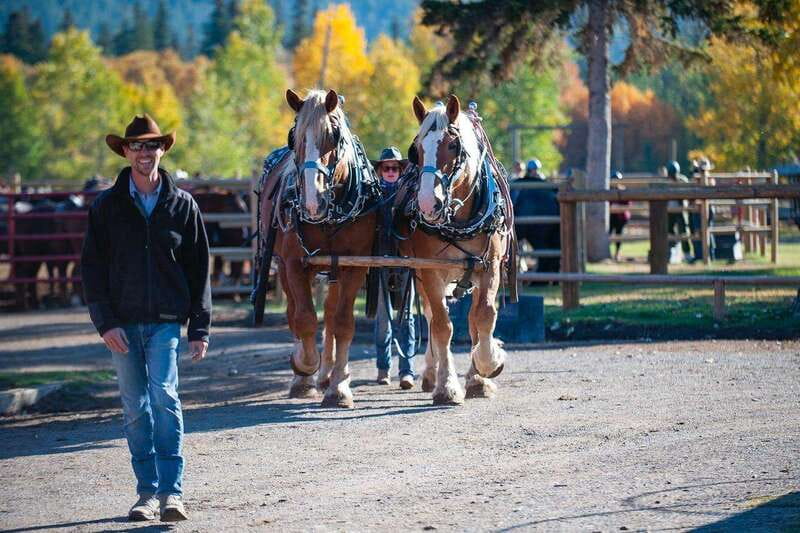 Banff: Wagon Ride with Cowboy Cookout BBQ - Why this Banff wagon ride beats a standard scenic tour
