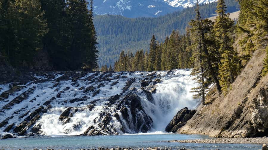 Banff: Winter Day Tour with Banff Gondola & Johnston Canyon - Quick highlights you should care about