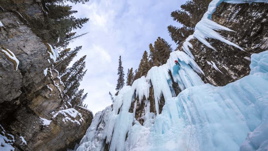 Banff: Winter Day Tour with Banff Gondola & Johnston Canyon - Banff town time for snacks, shops, and a warm reset