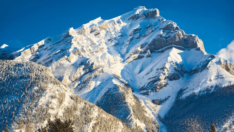 Banff: Winter Day Tour with Banff Gondola & Johnston Canyon - Guides in the spotlight, and what “helpful” looks like here