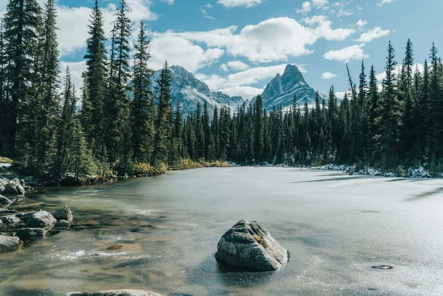 Banff, Yoho, and Jasper 2 Day Private Tour - Peyto Lake, Bow Lake, and the Big Window Views From the Road