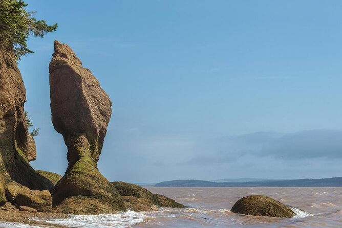 Bay of Fundy Tour by Bus - Key highlights to know before you go