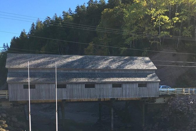 Bay of Fundy Tour by Bus - Why this Bay of Fundy bus day feels so efficient from Saint John
