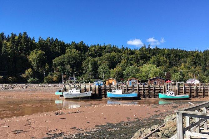 Bay of Fundy Tour by Bus - Fort Howe and Carleton Martello Tower: quick history stops with strong views